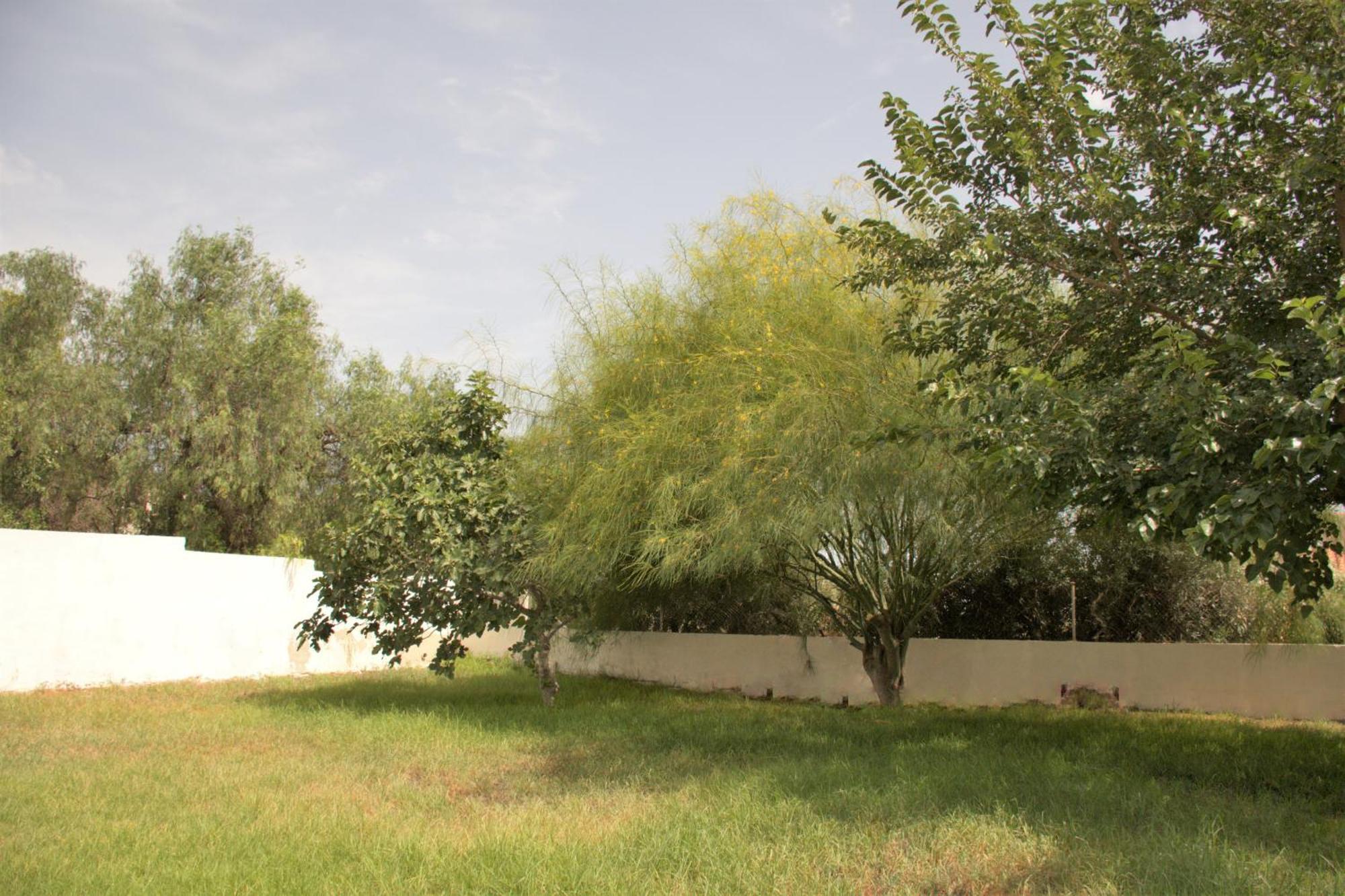 Kiwidestiny Alicante San Juan  Exterior foto
