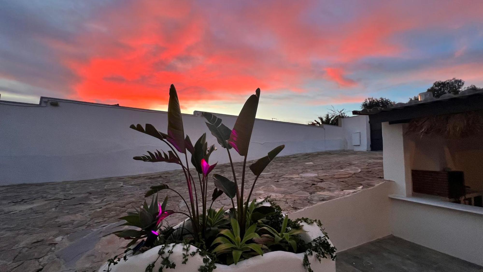 Kiwidestiny Alicante San Juan  Exterior foto